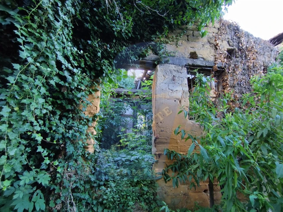 Terreno para Venda em Amoreira da Gândara, Paredes do Bairro e Ancas Foto 8