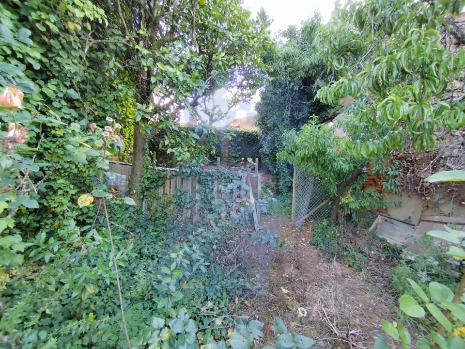 Terreno para Venda em Amoreira da Gândara, Paredes do Bairro e Ancas Foto 9