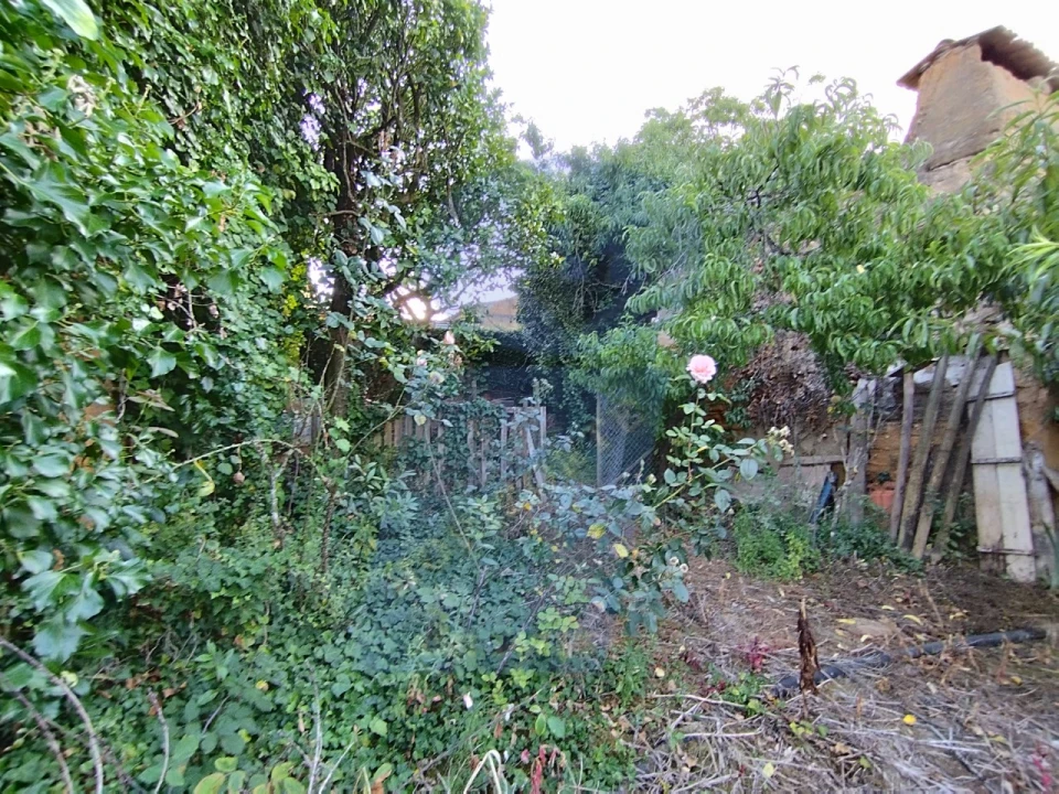 Terreno para Venda em Amoreira da Gândara, Paredes do Bairro e Ancas Foto 12