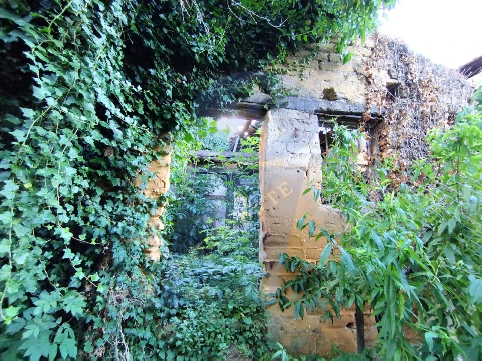 Terreno para Venda em Amoreira da Gândara, Paredes do Bairro e Ancas Foto 20
