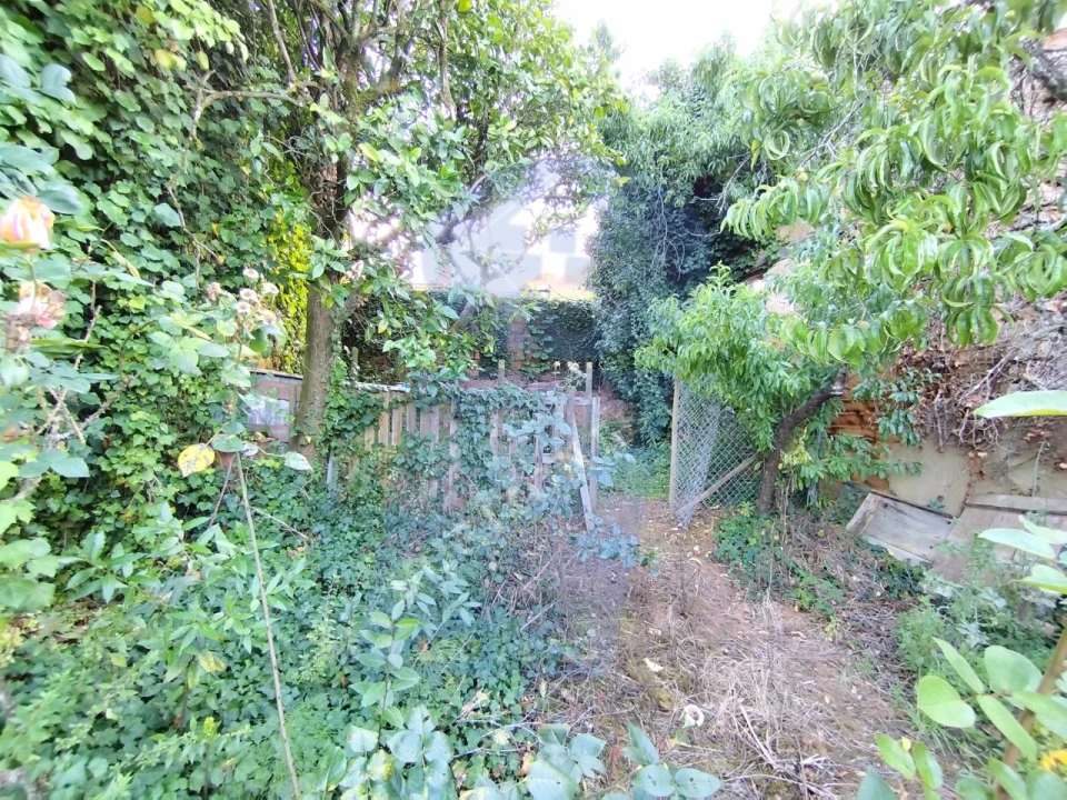 Terreno para Venda em Amoreira da Gândara, Paredes do Bairro e Ancas Foto 21