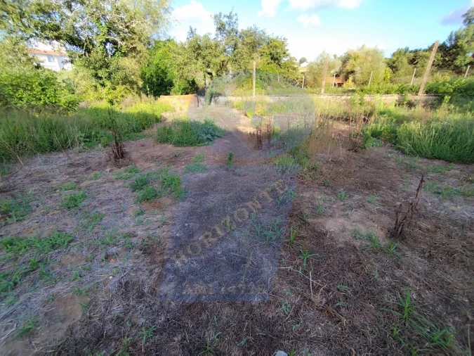 Terreno para Venda em Amoreira da Gândara, Paredes do Bairro e Ancas Foto 2