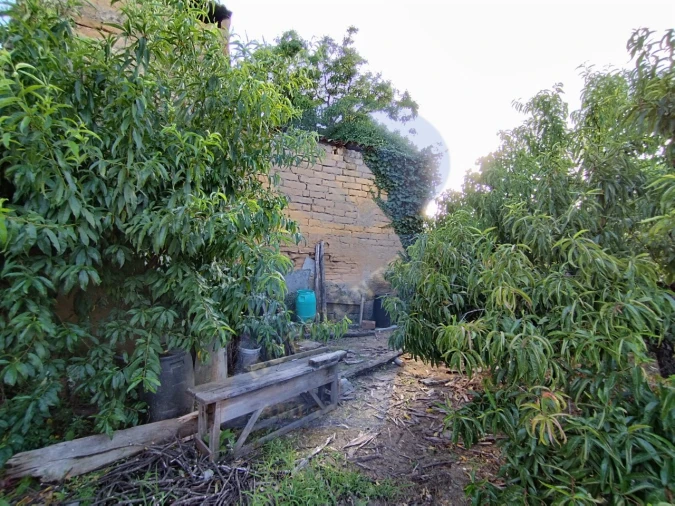 Terreno para Venda em Amoreira da Gândara, Paredes do Bairro e Ancas Foto 6