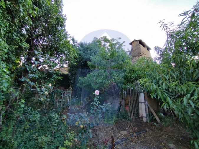Terreno para Venda em Amoreira da Gândara, Paredes do Bairro e Ancas Foto 10