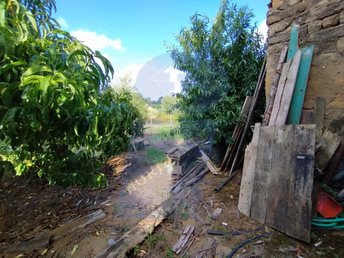 Terreno para Venda em Amoreira da Gândara, Paredes do Bairro e Ancas Foto 14
