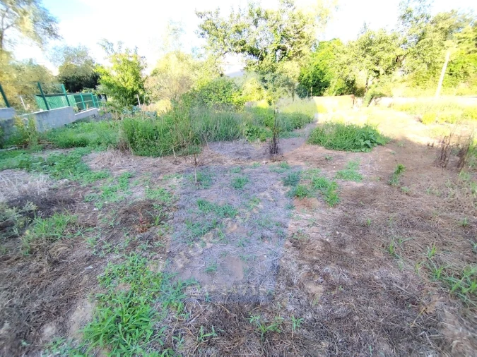 Terreno para Venda em Amoreira da Gândara, Paredes do Bairro e Ancas Foto 17