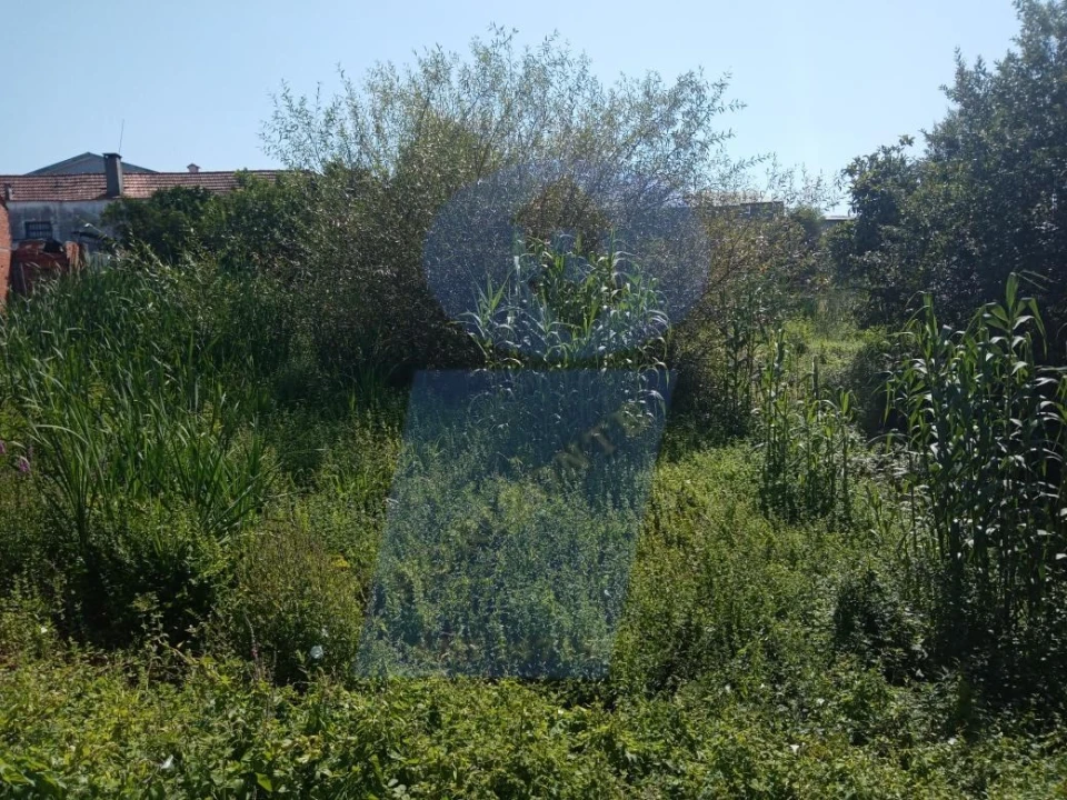 Terreno para Venda em Requeixo, Nossa Senhora de Fátima e Nariz Foto 4