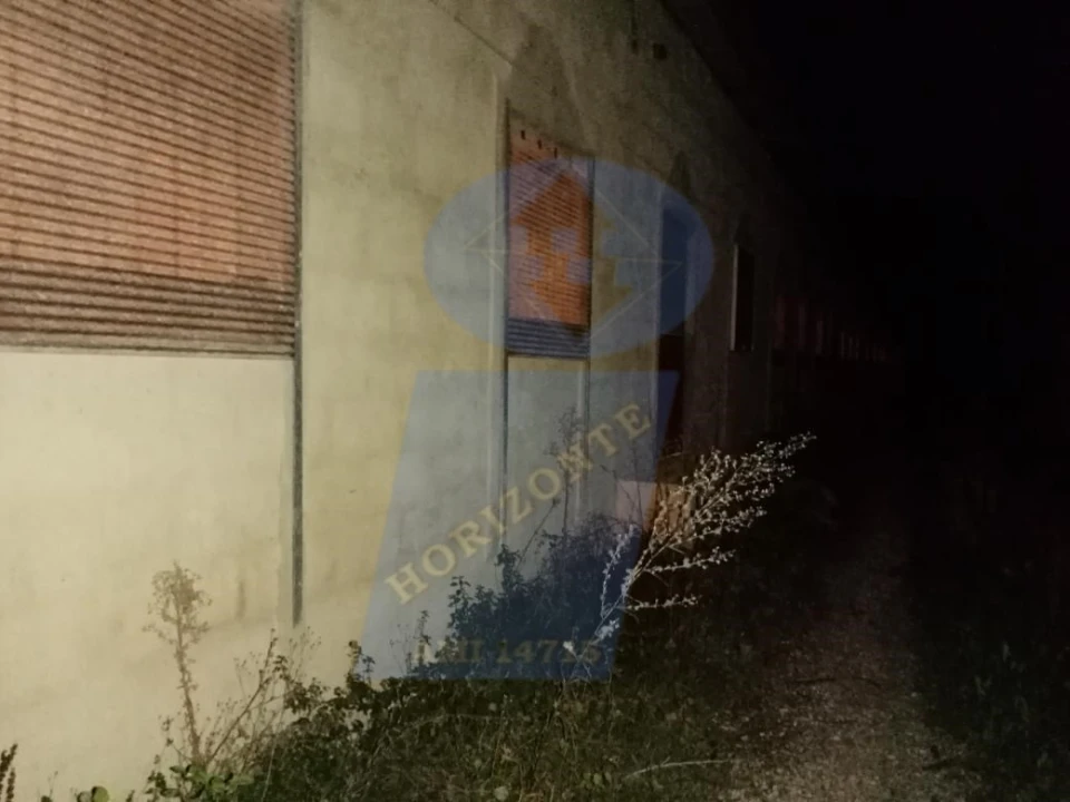 Armazém para Venda em Belazaima do Chão, Castanheira do Vouga e Agadão Foto 5