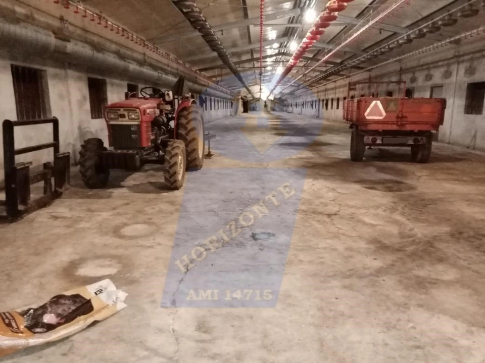 Armazém para Venda em Belazaima do Chão, Castanheira do Vouga e Agadão Foto 1