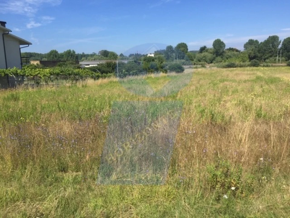Terreno para Venda em Arcos e Mogofores Foto 2