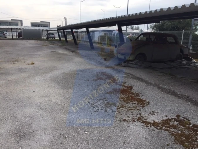 Negócio para Venda em Vagos e Santo António Foto 4