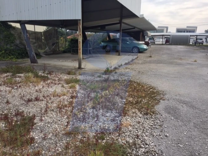 Negócio para Venda em Vagos e Santo António Foto 3