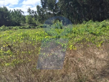 Terreno para Venda em Oiã