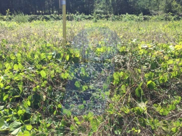 Terreno para Venda em Oiã