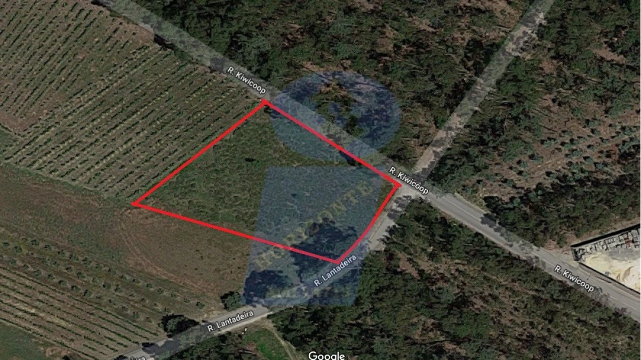 Terreno Agricola ou Rústico para Venda em Bustos, Troviscal e Mamarrosa Foto 1