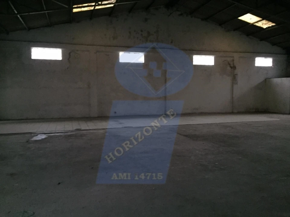 Armazém para Arrendamento em Oliveira do Bairro Foto 4