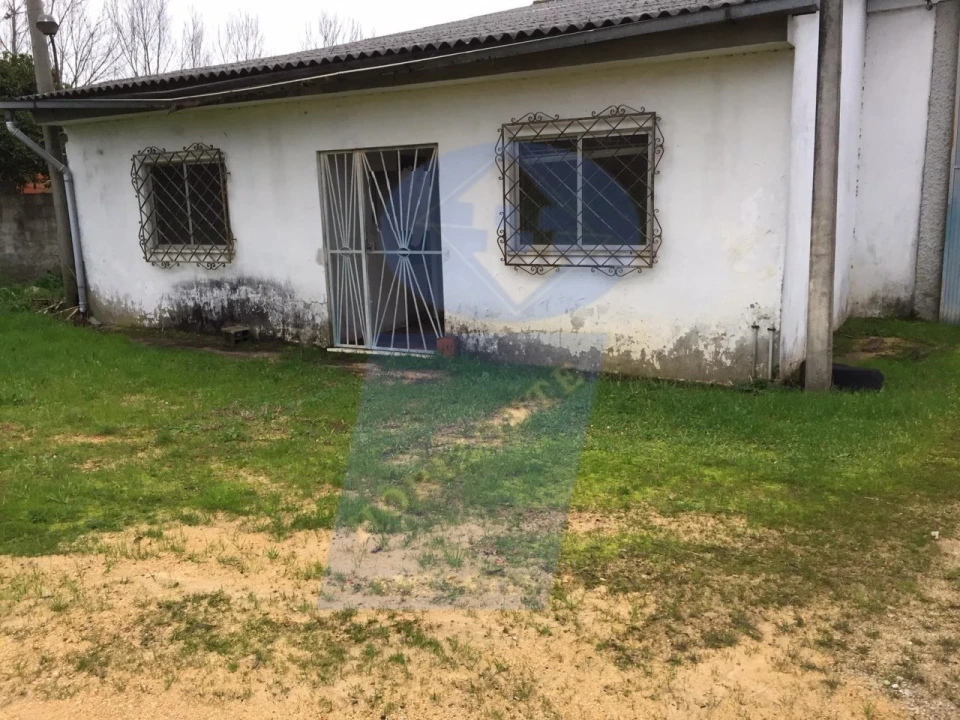 Armazém para Arrendamento em Oliveira do Bairro Foto 3