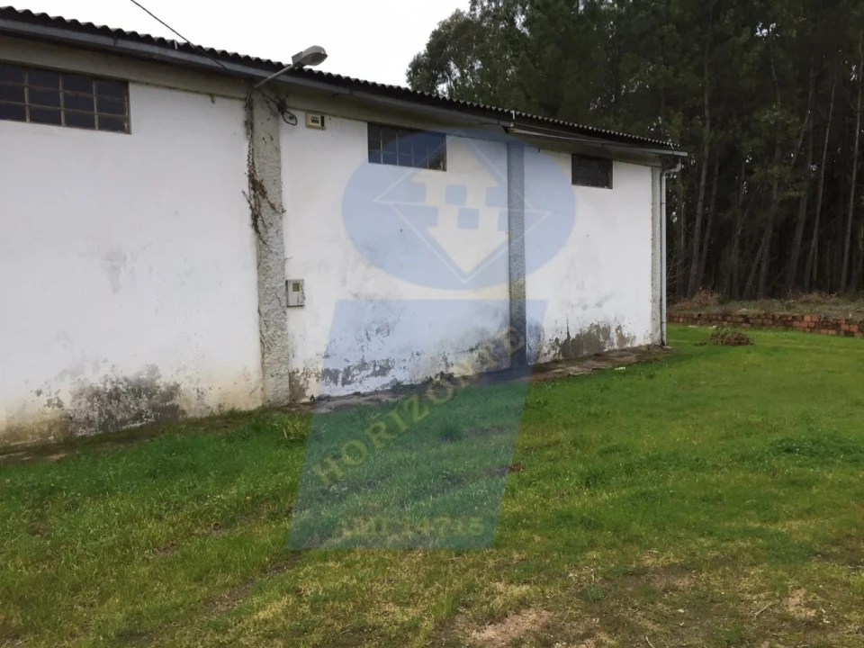 Armazém para Arrendamento em Oliveira do Bairro Foto 9