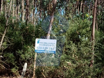 Terreno para Venda em Águeda e Borralha