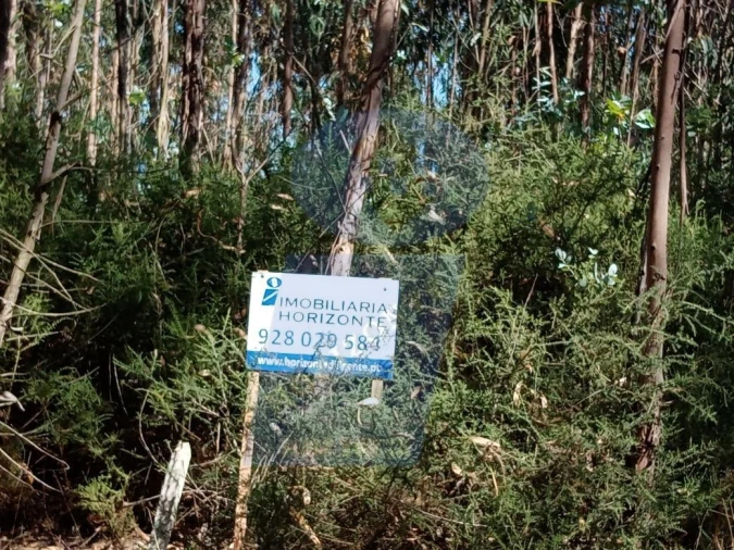 Terreno para Venda em Águeda e Borralha Foto 2