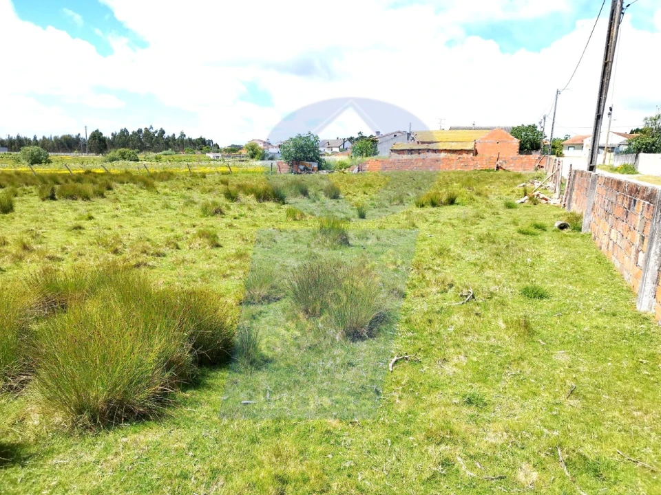 Terreno para Venda em Requeixo, Nossa Senhora de Fátima e Nariz Foto 1