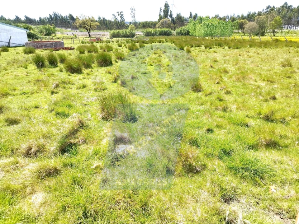 Terreno para Venda em Requeixo, Nossa Senhora de Fátima e Nariz Foto 3