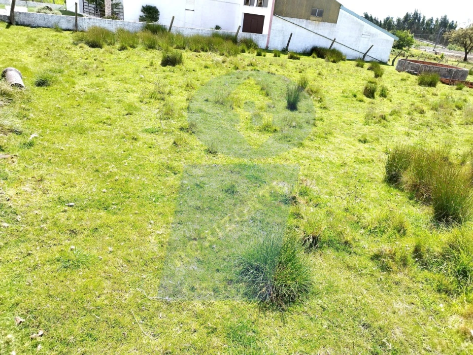 Terreno para Venda em Requeixo, Nossa Senhora de Fátima e Nariz Foto 5