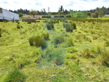 Terreno para Venda em Requeixo, Nossa Senhora de Fátima e Nariz