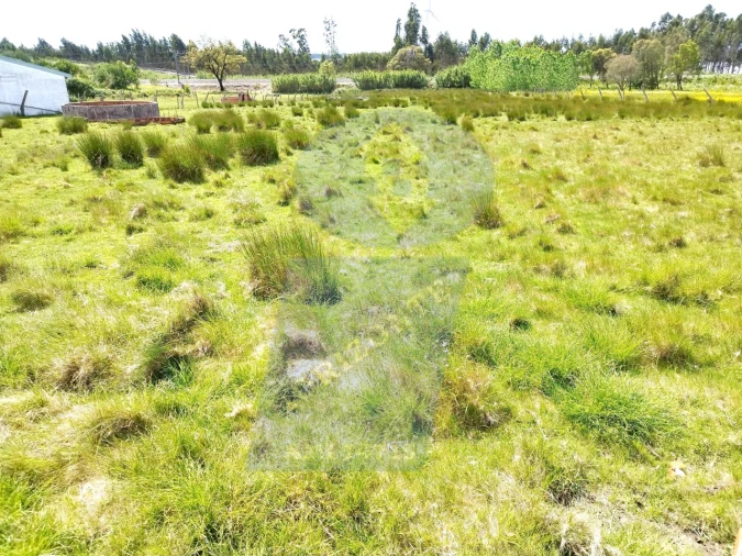 Terreno para Venda em Requeixo, Nossa Senhora de Fátima e Nariz Foto 3