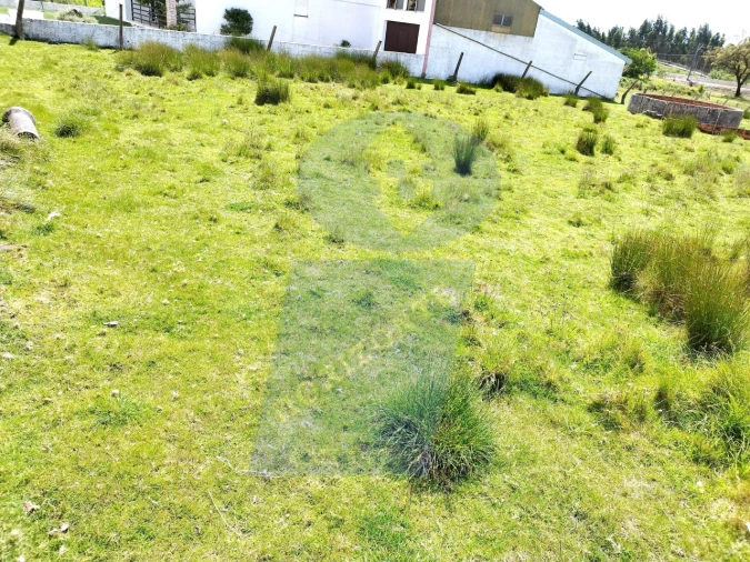 Terreno para Venda em Requeixo, Nossa Senhora de Fátima e Nariz Foto 5