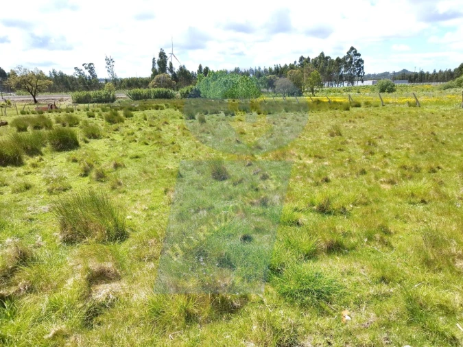 Terreno para Venda em Requeixo, Nossa Senhora de Fátima e Nariz Foto 6