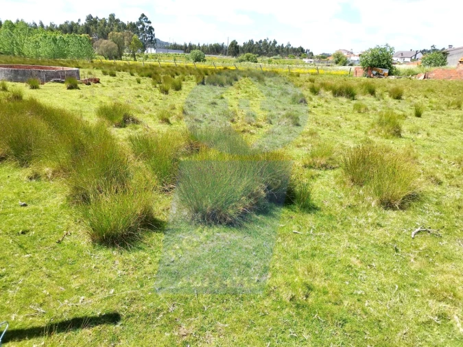 Terreno para Venda em Requeixo, Nossa Senhora de Fátima e Nariz Foto 7