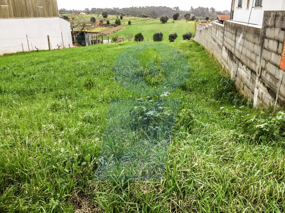Terreno para Venda em Fermentelos Foto 1