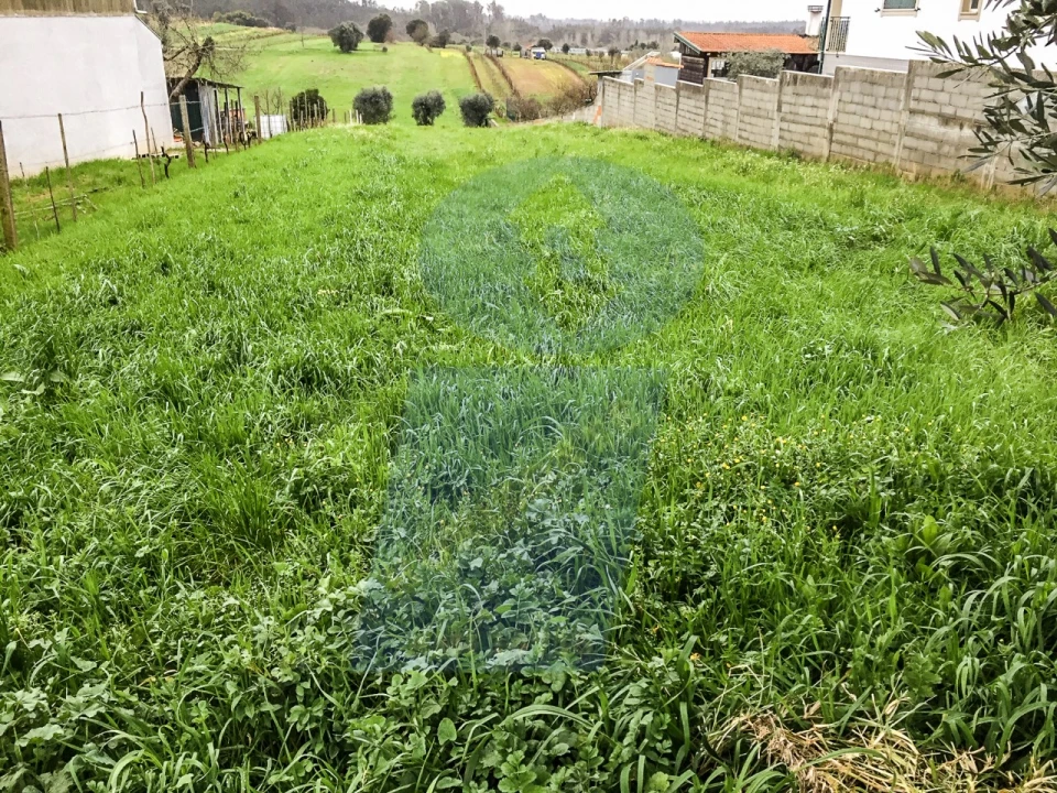 Terreno para Venda em Fermentelos Foto 2