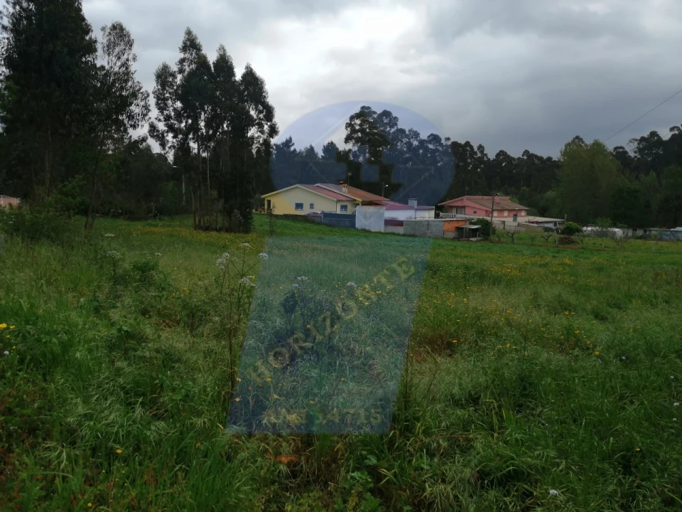 Terreno para Venda em Oiã Foto 2