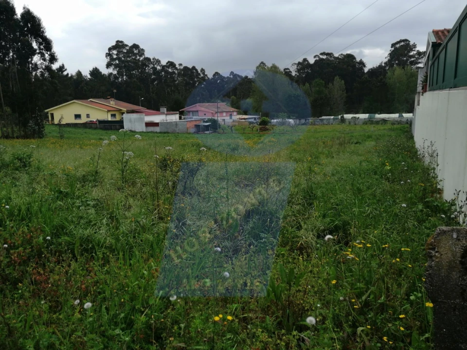 Terreno para Venda em Oiã Foto 3