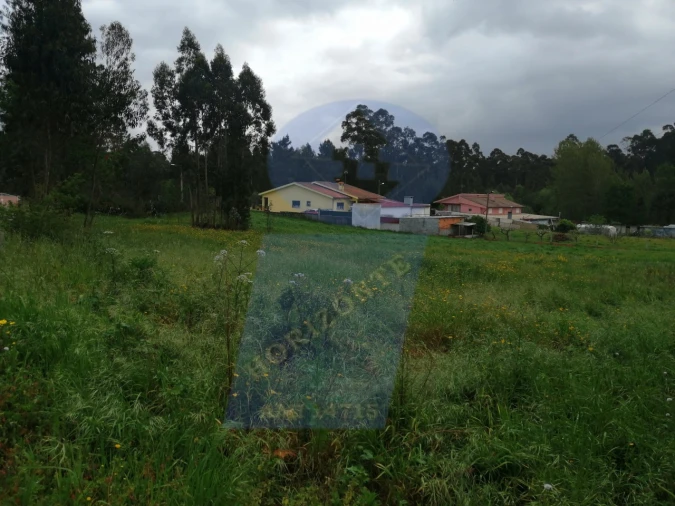 Terreno para Venda em Oiã Foto 2