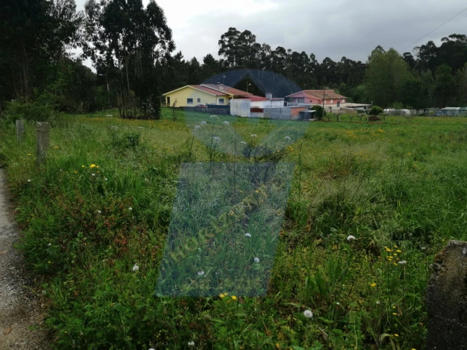 Terreno para Venda em Oiã Foto 4