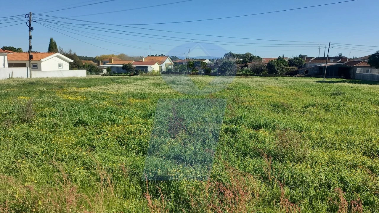 Terreno para Venda em Oiã Foto 2
