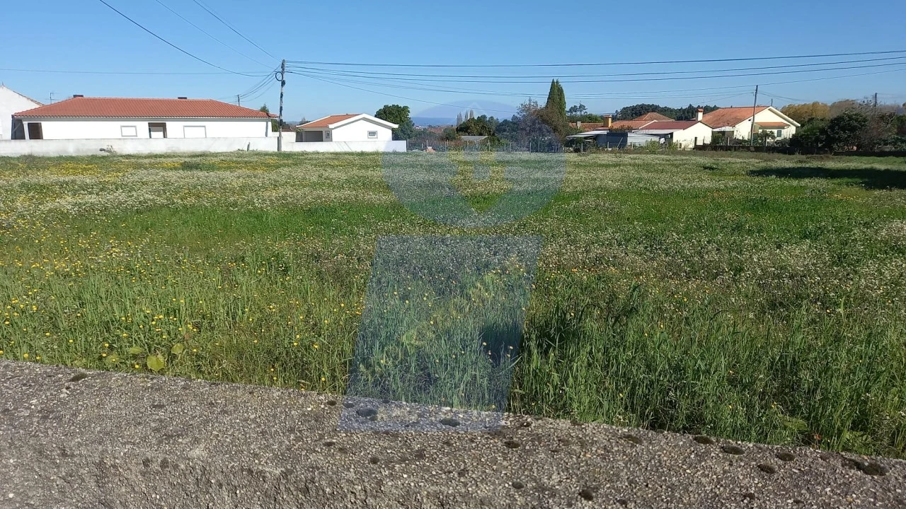 Terreno para Venda em Oiã Foto 4