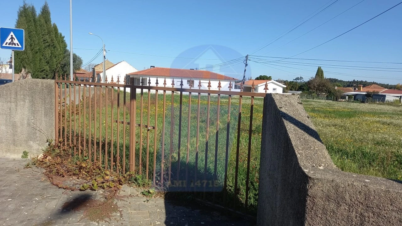Terreno para Venda em Oiã Foto 3