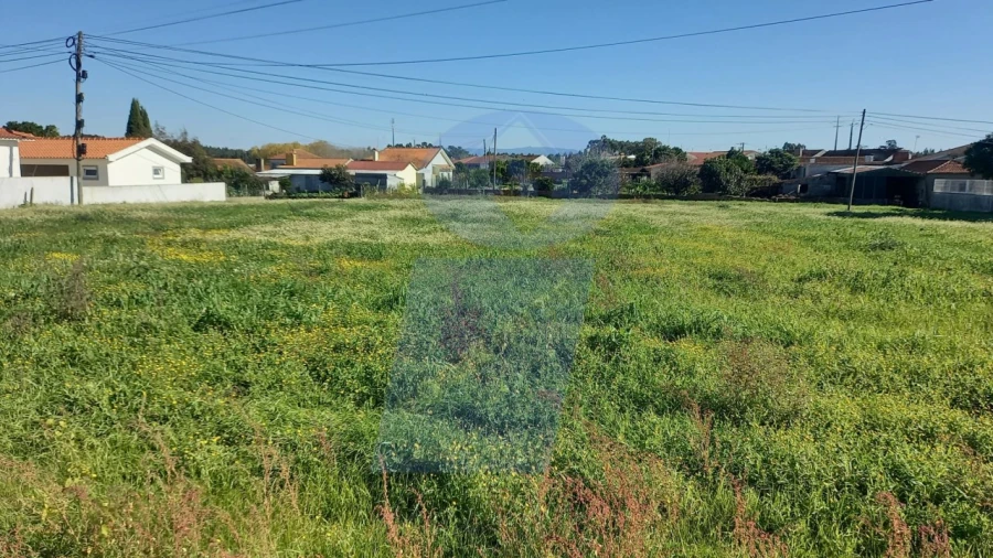 Terreno para Venda em Oiã Foto 2