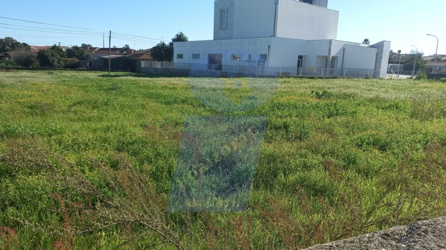 Terreno para Venda em Oiã Foto 5