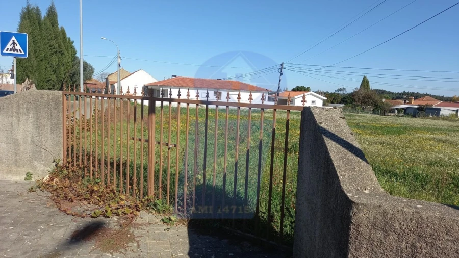 Terreno para Venda em Oiã Foto 3