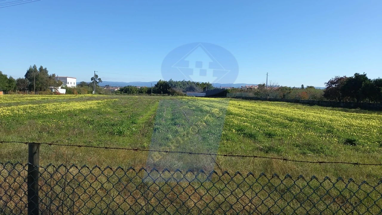 Terreno para Venda em Oiã Foto 1