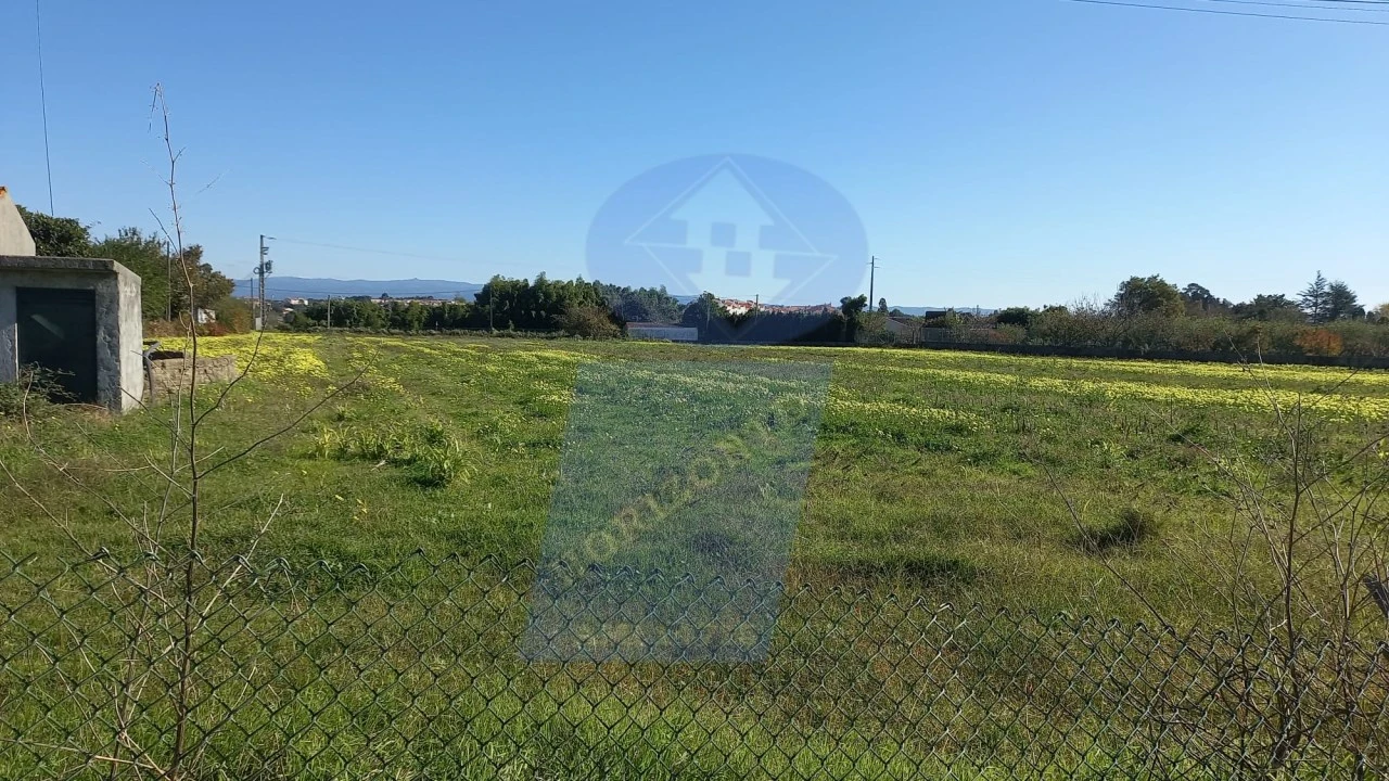 Terreno para Venda em Oiã Foto 2