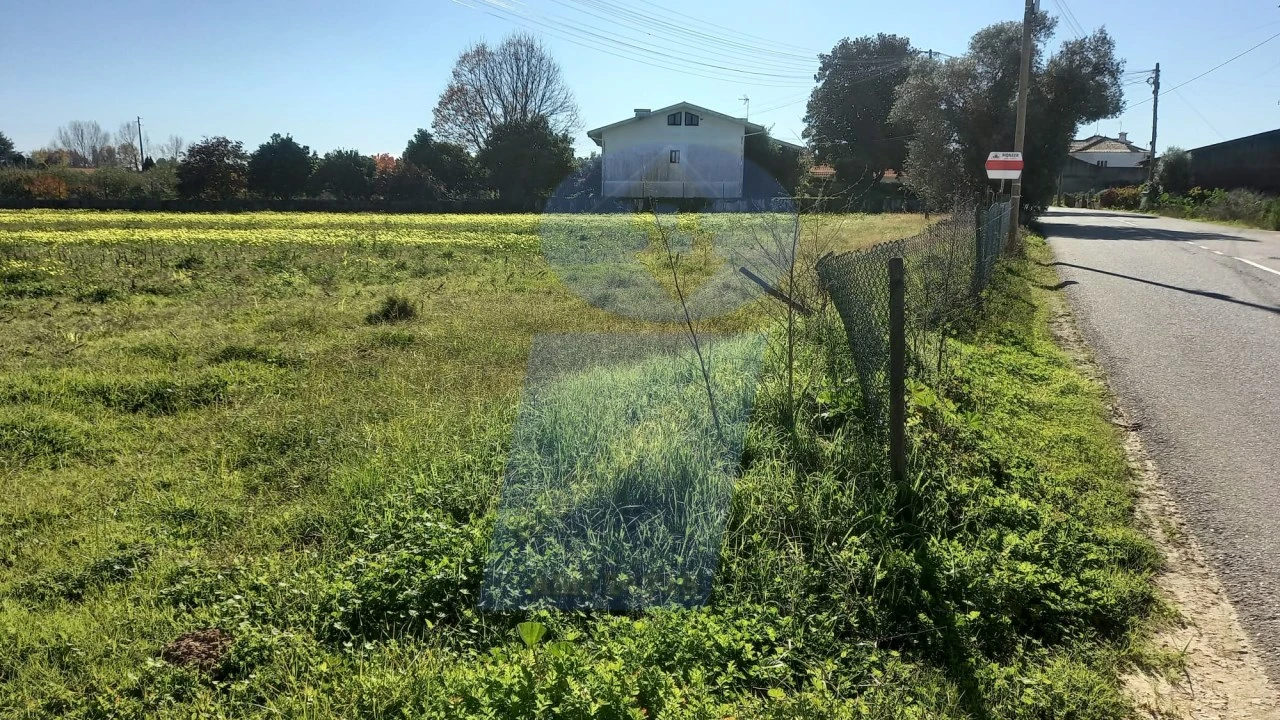 Terreno para Venda em Oiã Foto 3