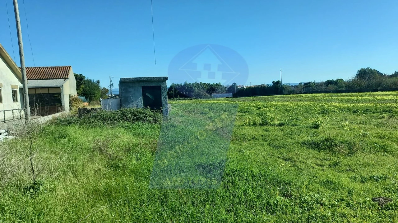 Terreno para Venda em Oiã Foto 4