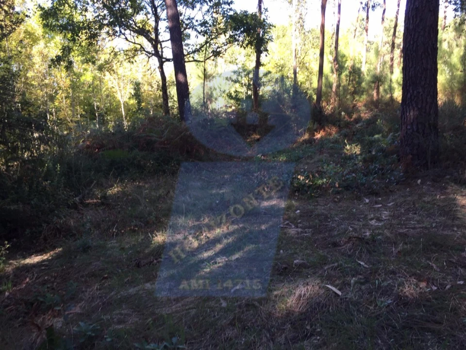 Terreno Agricola ou Rústico para Venda em Amoreira da Gândara, Paredes do Bairro e Ancas Foto 5
