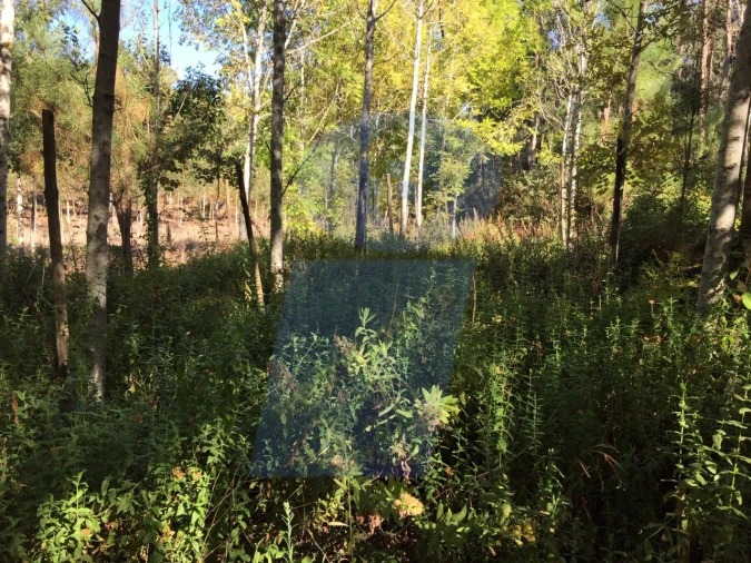 Terreno Agricola ou Rústico para Venda em Amoreira da Gândara, Paredes do Bairro e Ancas Foto 2